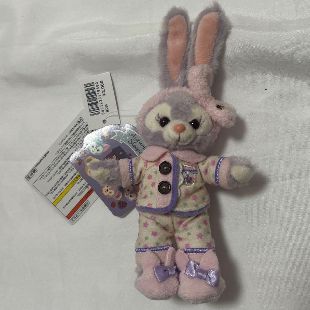 ディズニー　ステラルー　オータムスリープオーバー