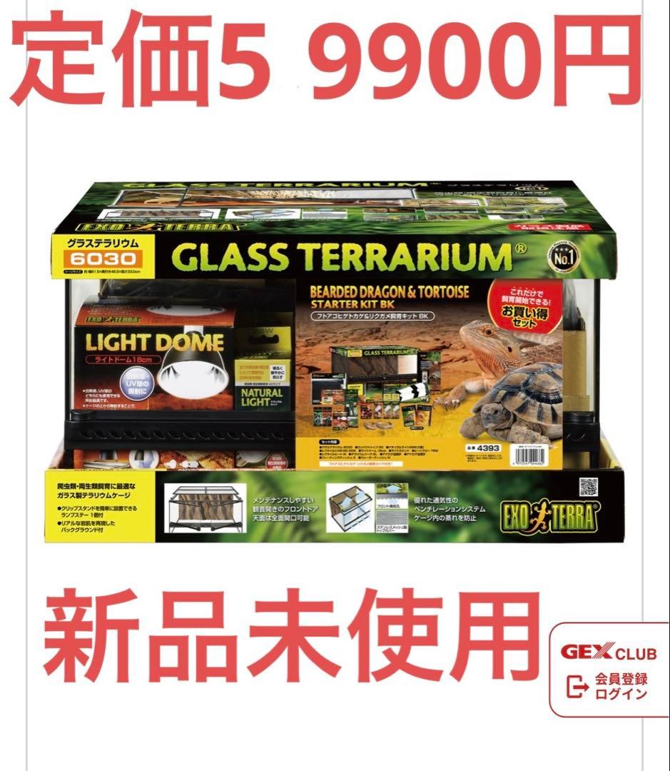 GLASS TERRARIUM 6030 飼育セット